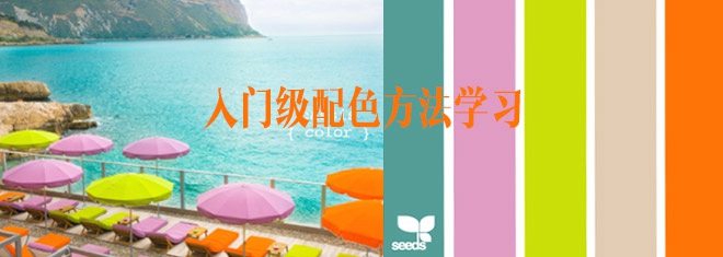 【阜康SEO】整站SEO怎么做？整站SEO優化的詳細介紹