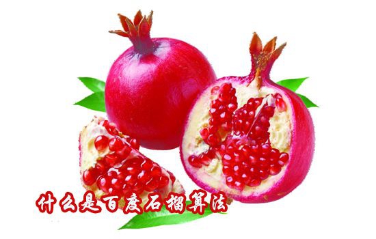 【崆峒SEO】網站SEO優化有哪些技巧？網站的優化技巧介紹